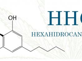 molecula de hhc